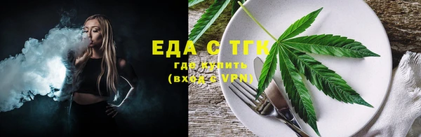 гидра Абаза