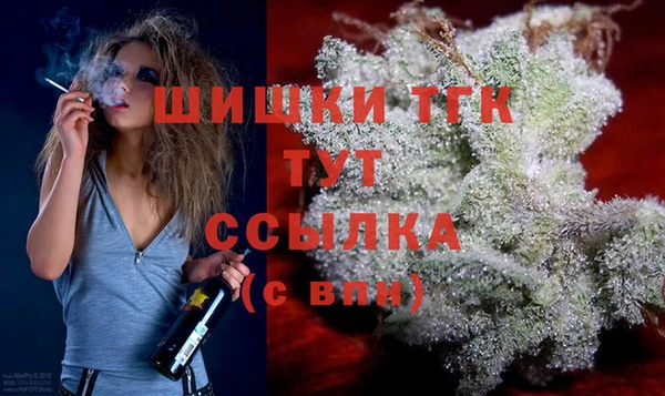 гидра Абаза