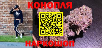 гидропоника Тара