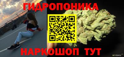 прущие грибы Татарск