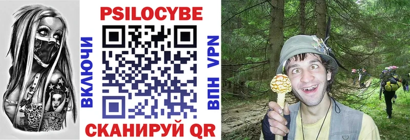 Галлюциногенные грибы GOLDEN TEACHER  Усть-Лабинск 
