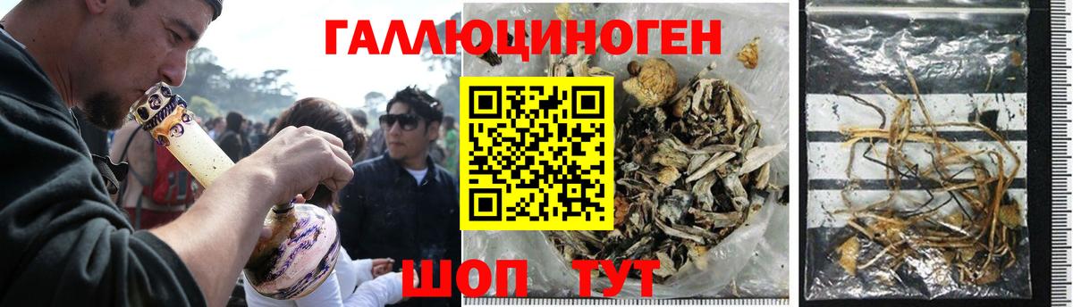 Псилоцибиновые грибы GOLDEN TEACHER  наркота  Усть-Лабинск  Вход с VPN 